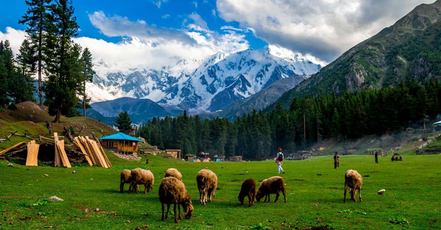 Fairy-Meadows-Tour